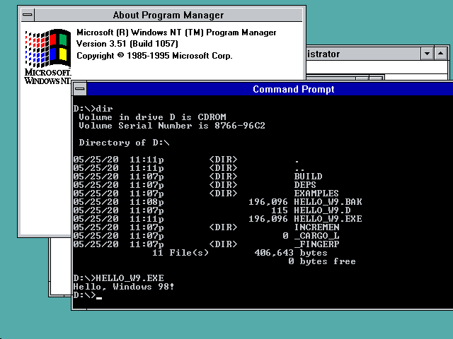 windows 1996 debug